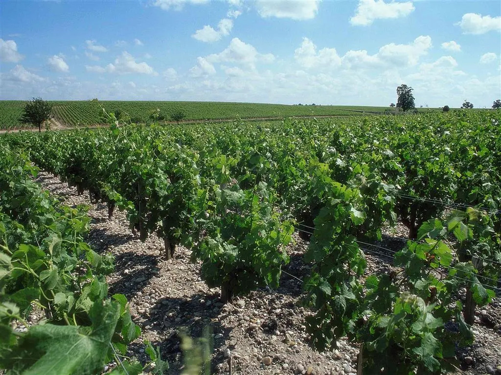 ibis Bordeaux Saint Emilion