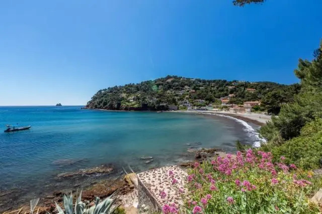Appartement "le Fabregas" 4 pers vue mer