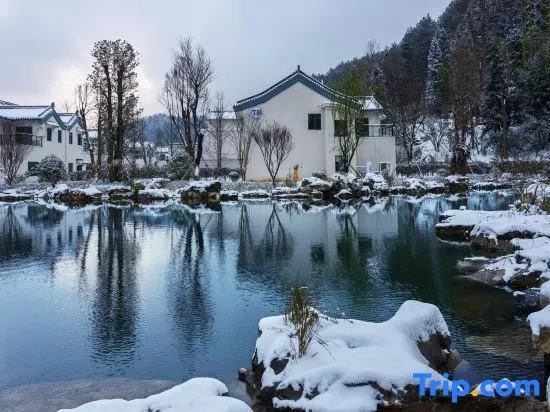 Zunyi Yipin Yangzun  Hotel