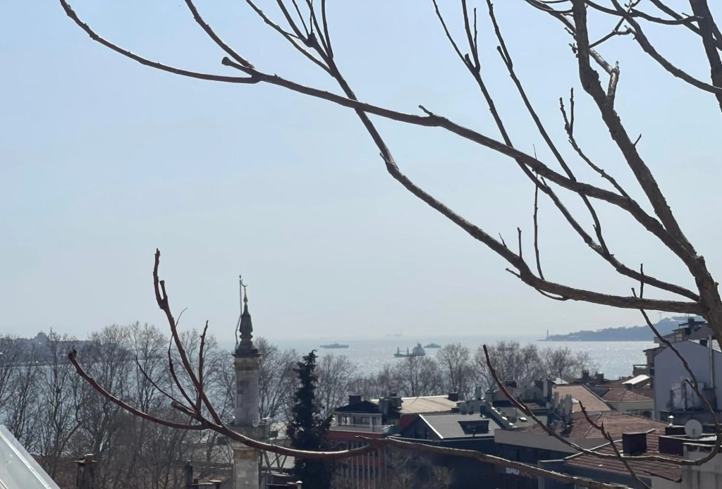 Cozy and bright apartment near Bosphorus