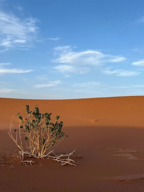 Dar Toda - Zagora guest house