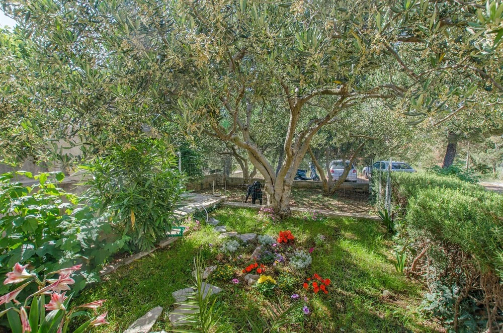 Apartments and Room Jelka