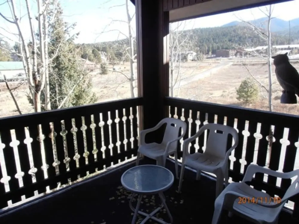 Snowfire Condos