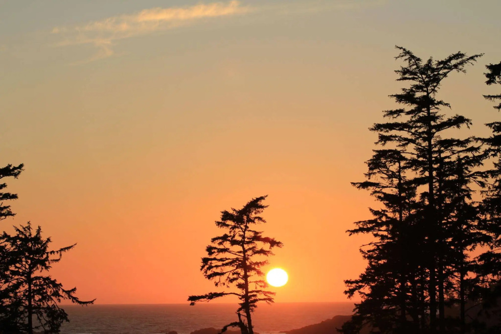 Wild Pacific Retreat