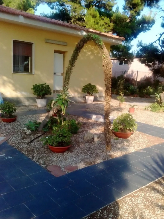 Il Lentisco