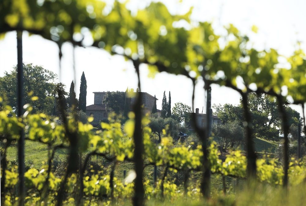 Agriturismo Belvedere Di Pierini E Brugi