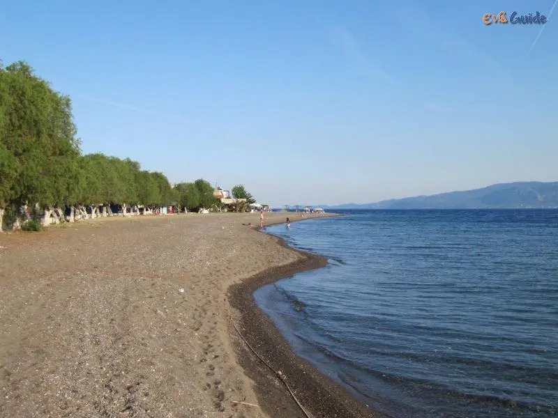 Agrikia In Evia