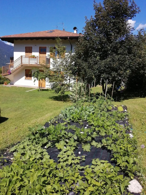 Apartment Villa Irma
