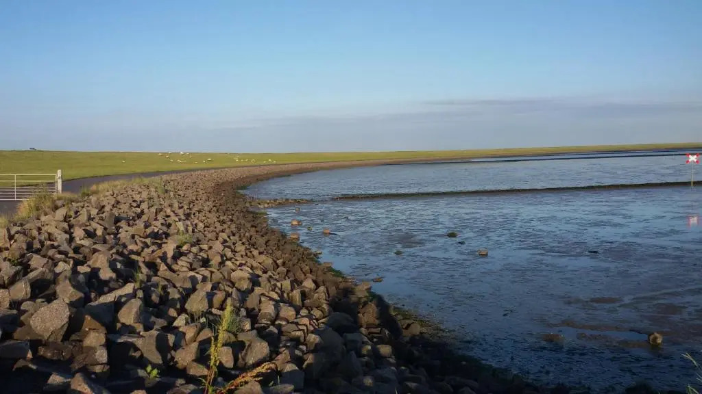 Goden Wind 20