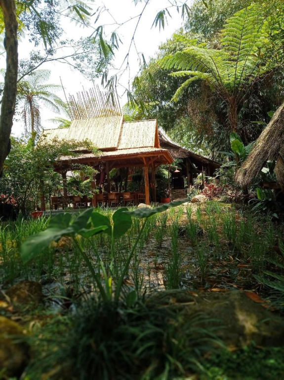 Sapulidi Cafe, Gallery & Resort
