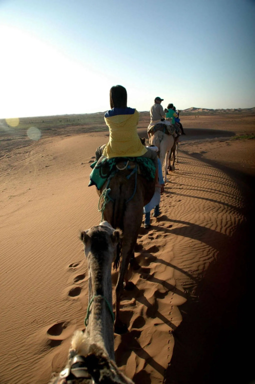 Le Dromblanc