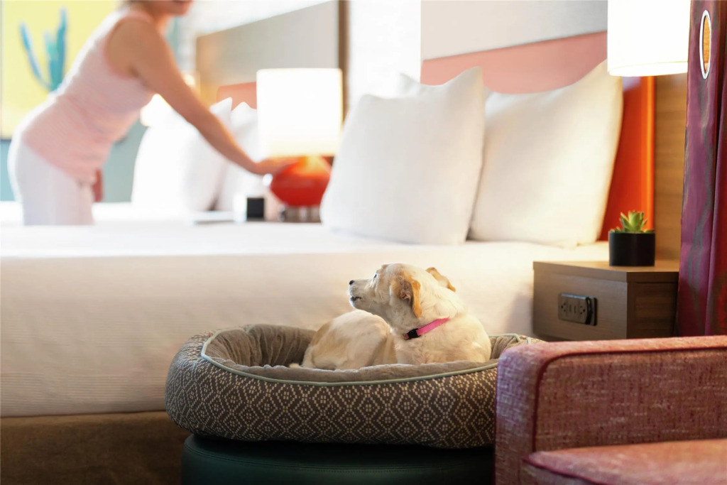 Home2 Suites By Hilton Mesa Longbow, Az