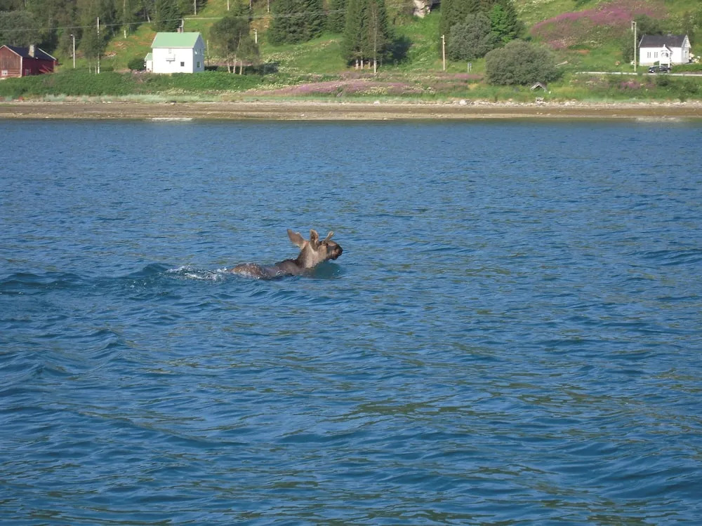 Furoy Hotel Apartments and Boating