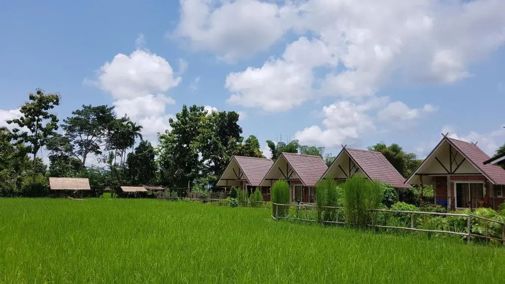 ฮ้างนาตาจันทร์
