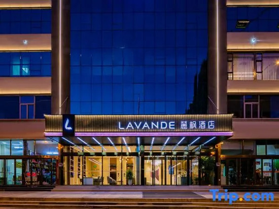 Lavande Hotel(Double Pagoda Temple North Qi Mural Museum shop)
