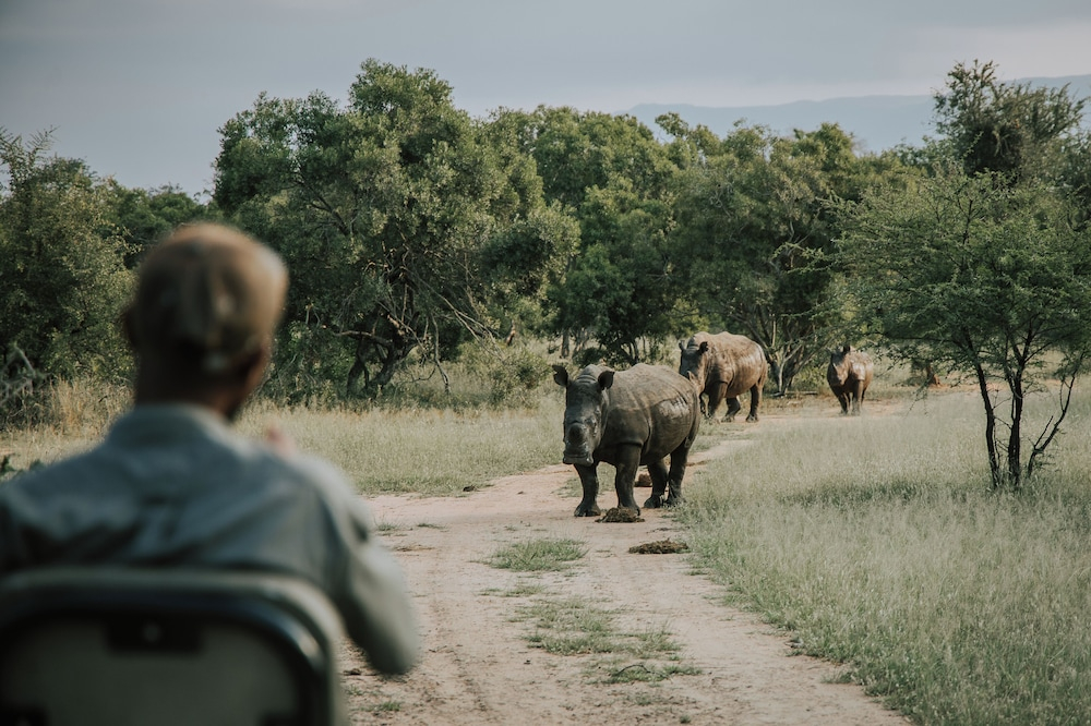 Rhinos Rest Private Luxury Villa