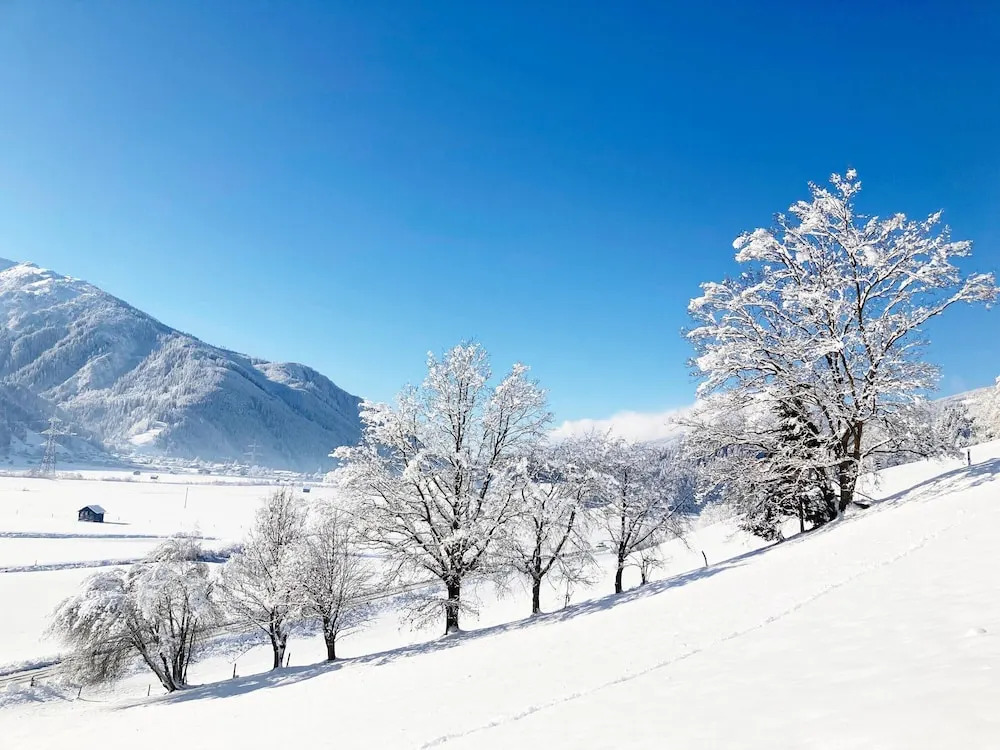 Holiday Apartment in Pinzgau