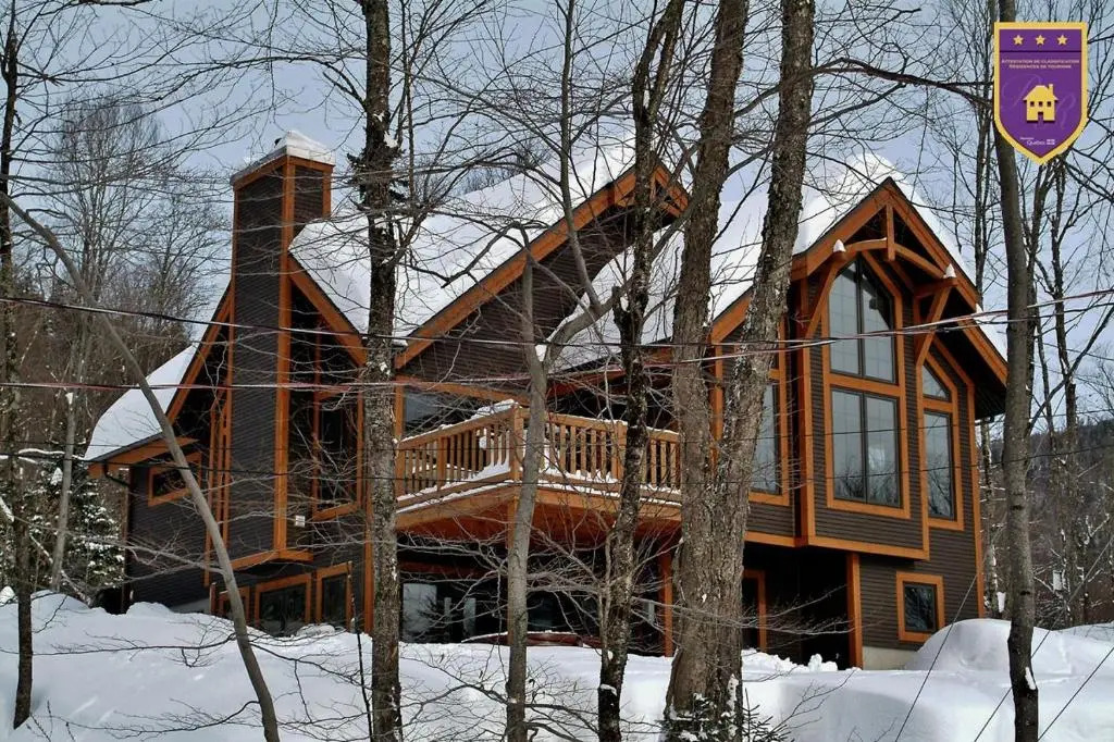 Chalets Alpins - 31 Chemin Blanc
