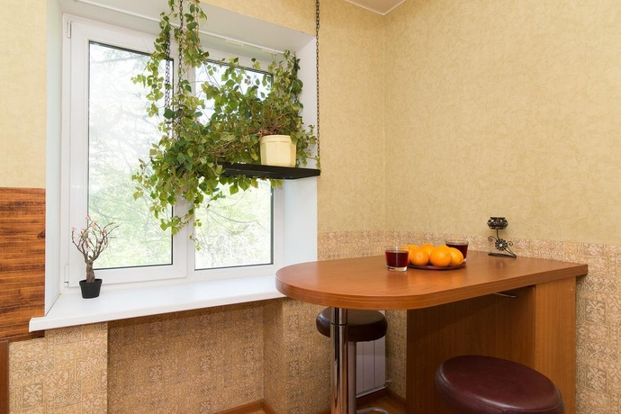 Apartment on Blyukhera