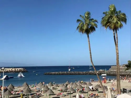 Dream View