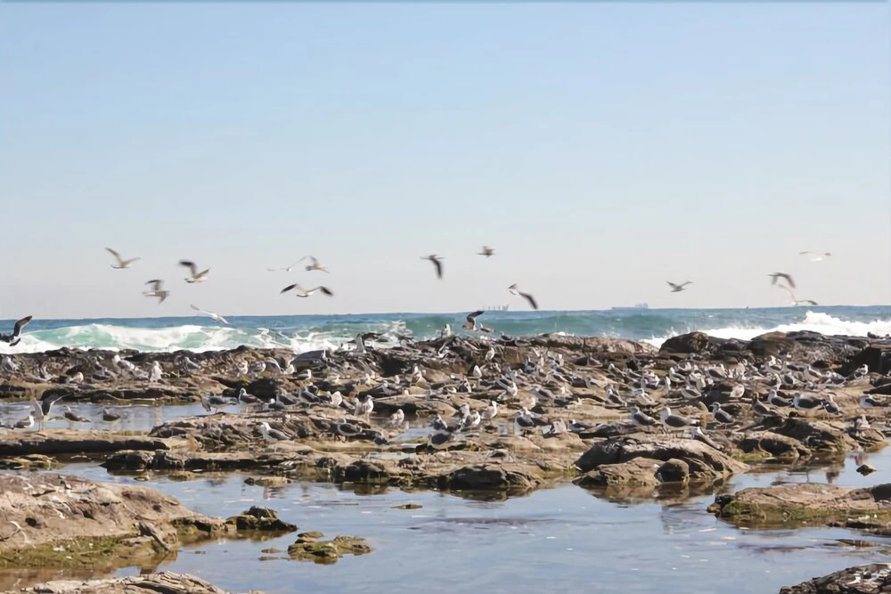 Pohang Super Natural Pension