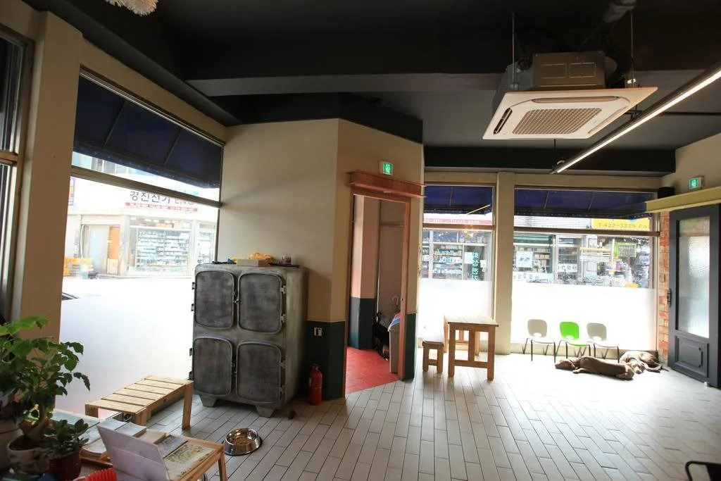 Quartz Hostel
