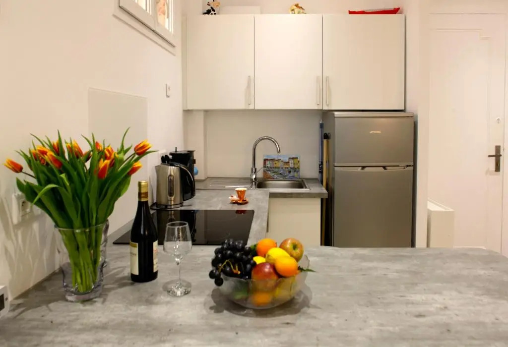 Apartment Nice Center Barralis