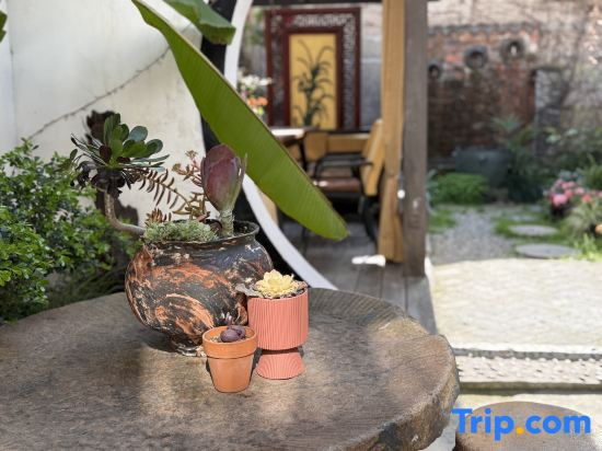 The Manci Jiangnan Courtyard Airbnb