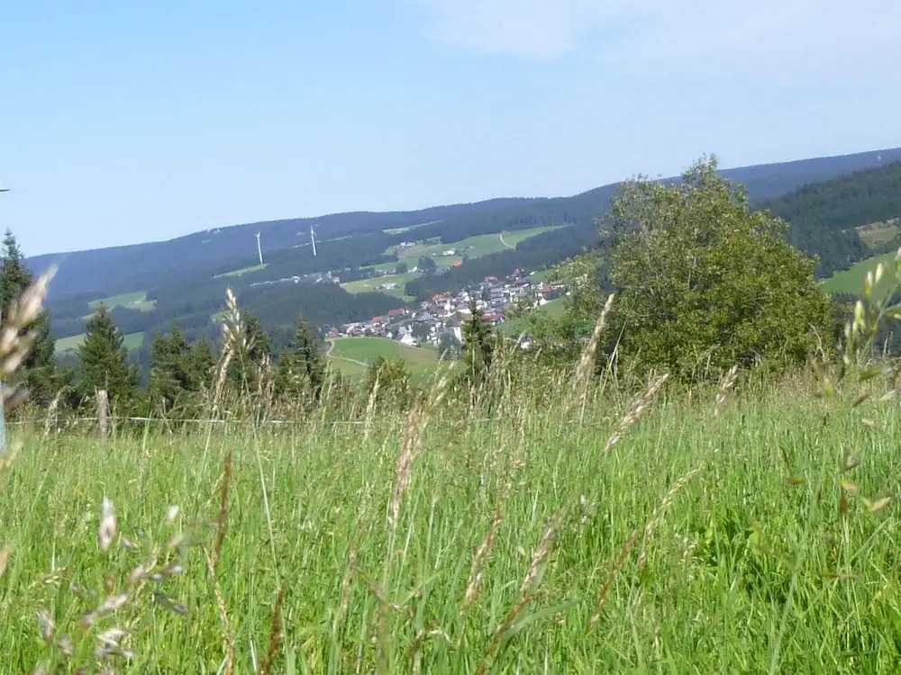 Ferienwohnung, Furtwangen