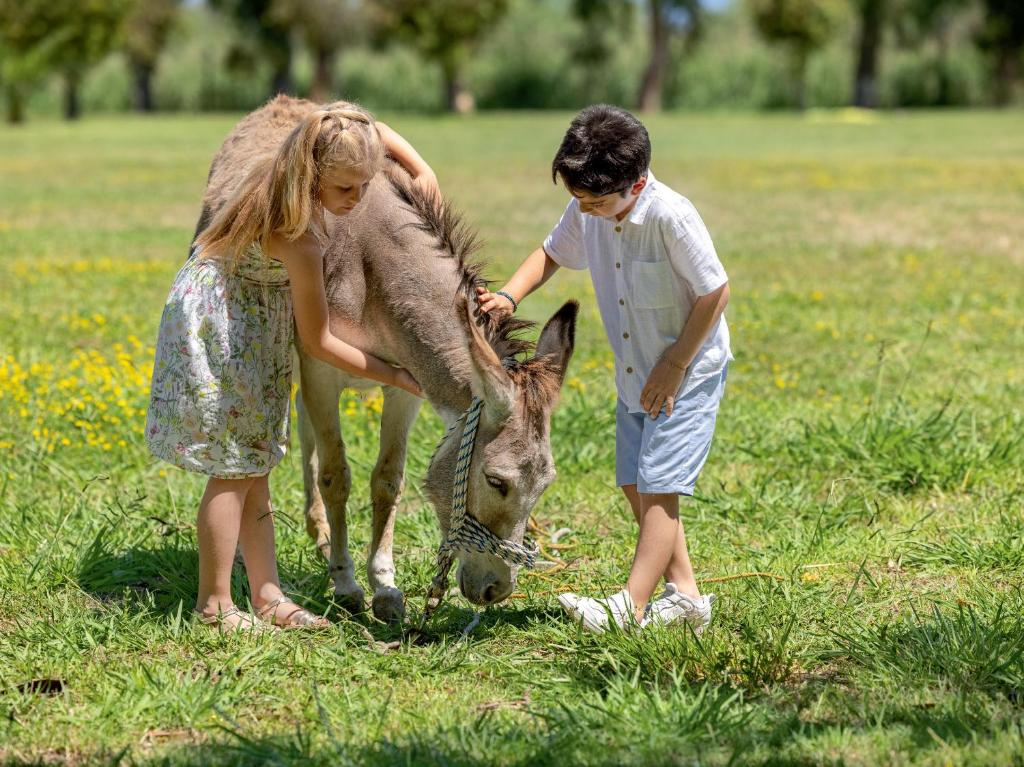Grecotel LUXME Costa Botanica