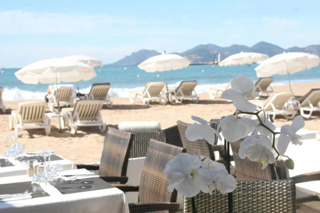 Elegant Apart in City Centre of Cannes