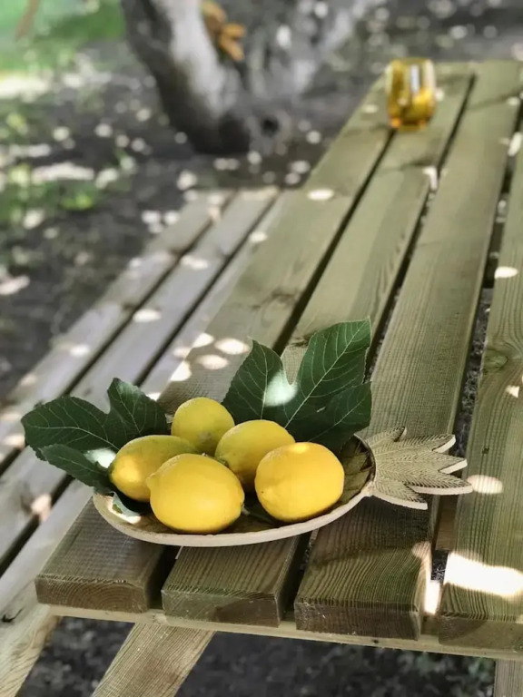 Alojamiento rural CASAPIÑA