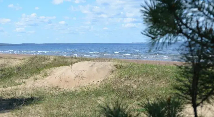 Vilde