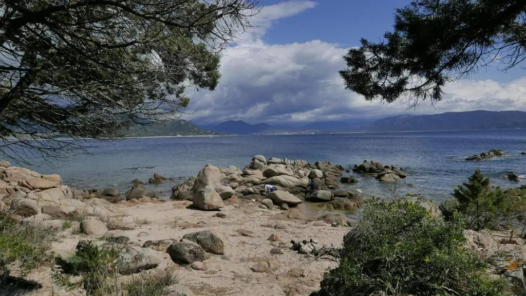 Villa les Figuiers