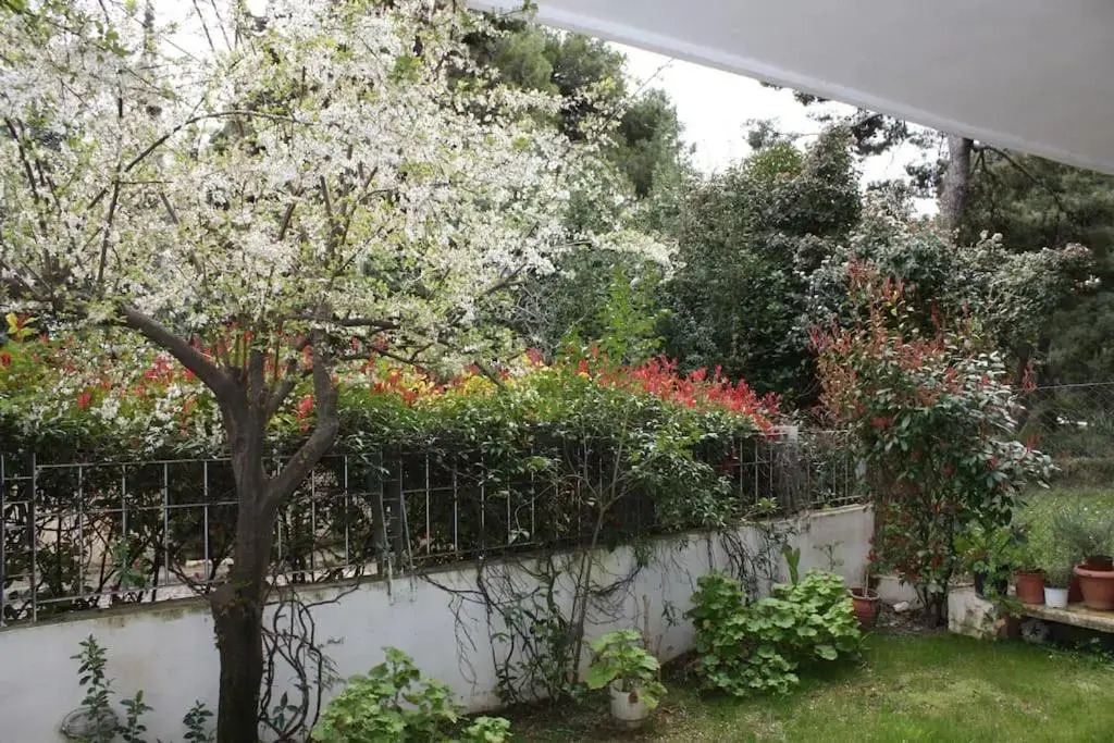 Park View Apartment with Garden 120m