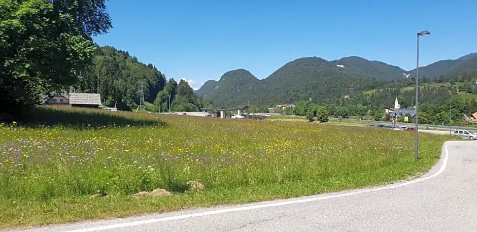 Al sentiero di Charly