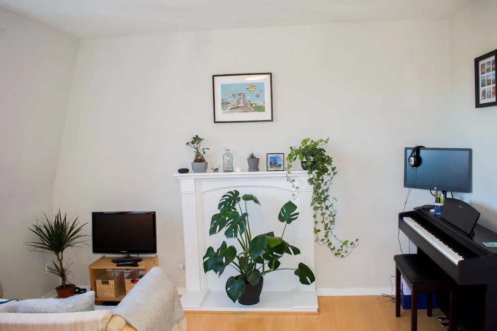 1 Bedroom Apartment Near Botanic Garden