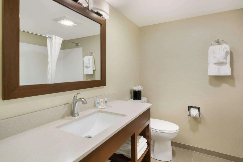 Comfort Inn Lexington Virginia Horse Center