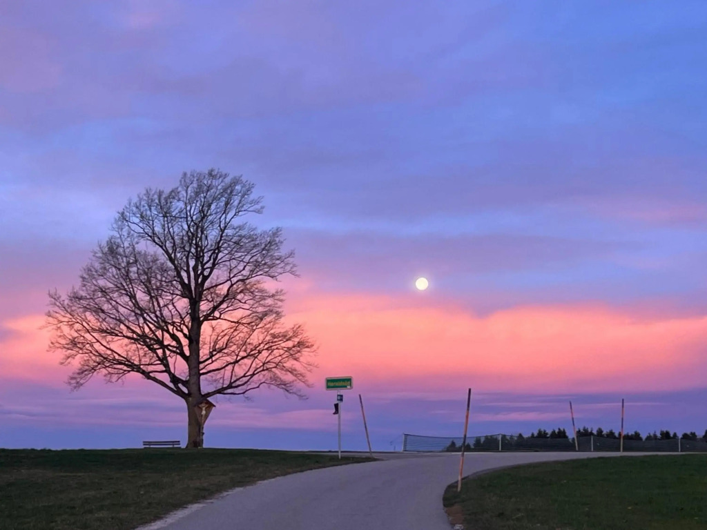 Ferienwohnungen Lärchennest zwischen Chiemsee und Bergen