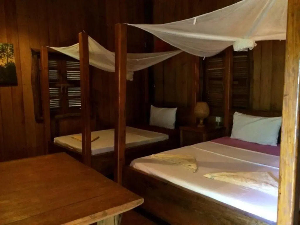 Tree Top Eco-Lodge