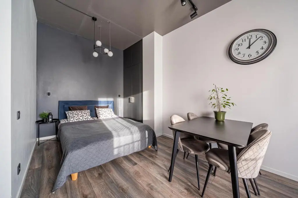 Cosy studio apartment in Ridzenes residence