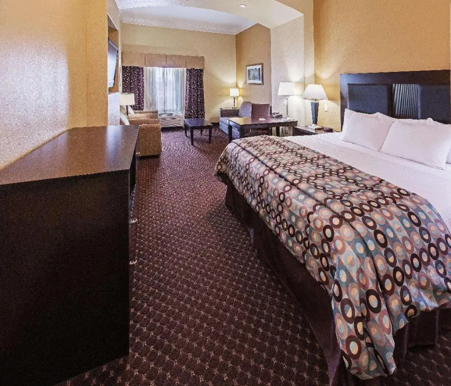 La Quinta by Wyndham Alvin
