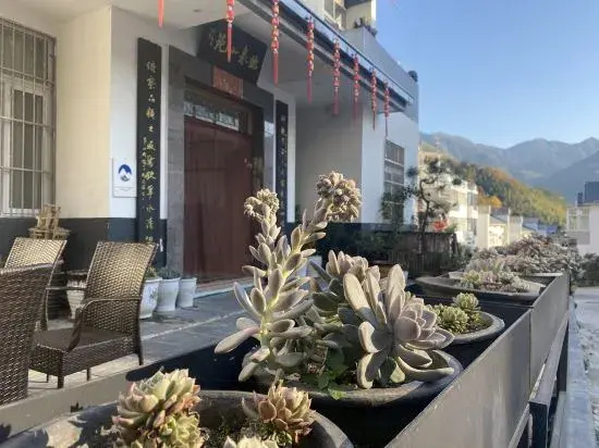 Huangshan Emerald Valley Tingquan Xiaoyuan Homestay