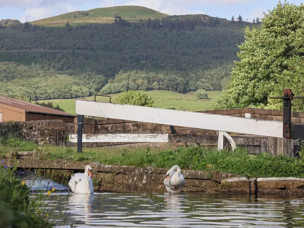 The Swans Nest Lock View