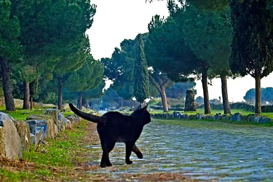 B&B Appia Felis