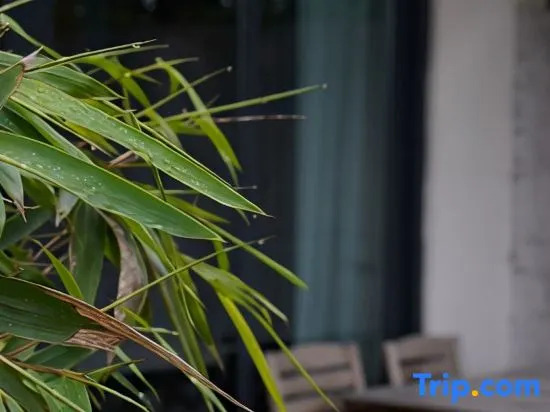 Slow house, xiannvushan guiyuan boutique holiday home stay