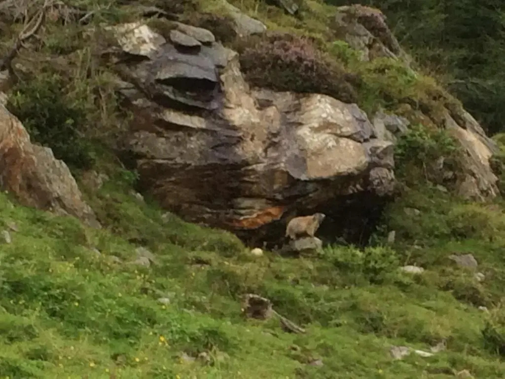 Berghaus Außergschlöß
