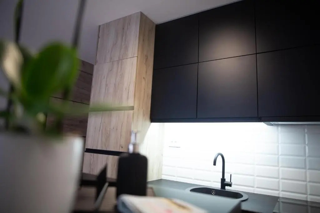 Cozy Apartment Plus