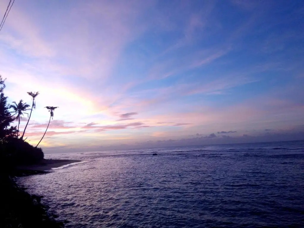 Turtle Eco Beach