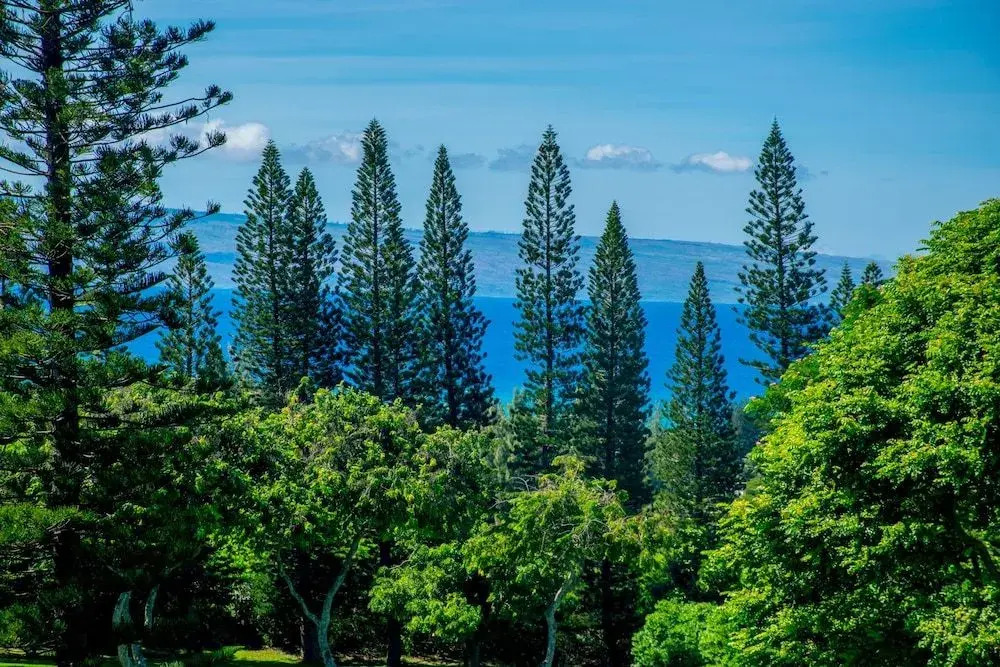 Kapalua Golf Villa 25T4 Gold Ocean View - 2 Br Villa